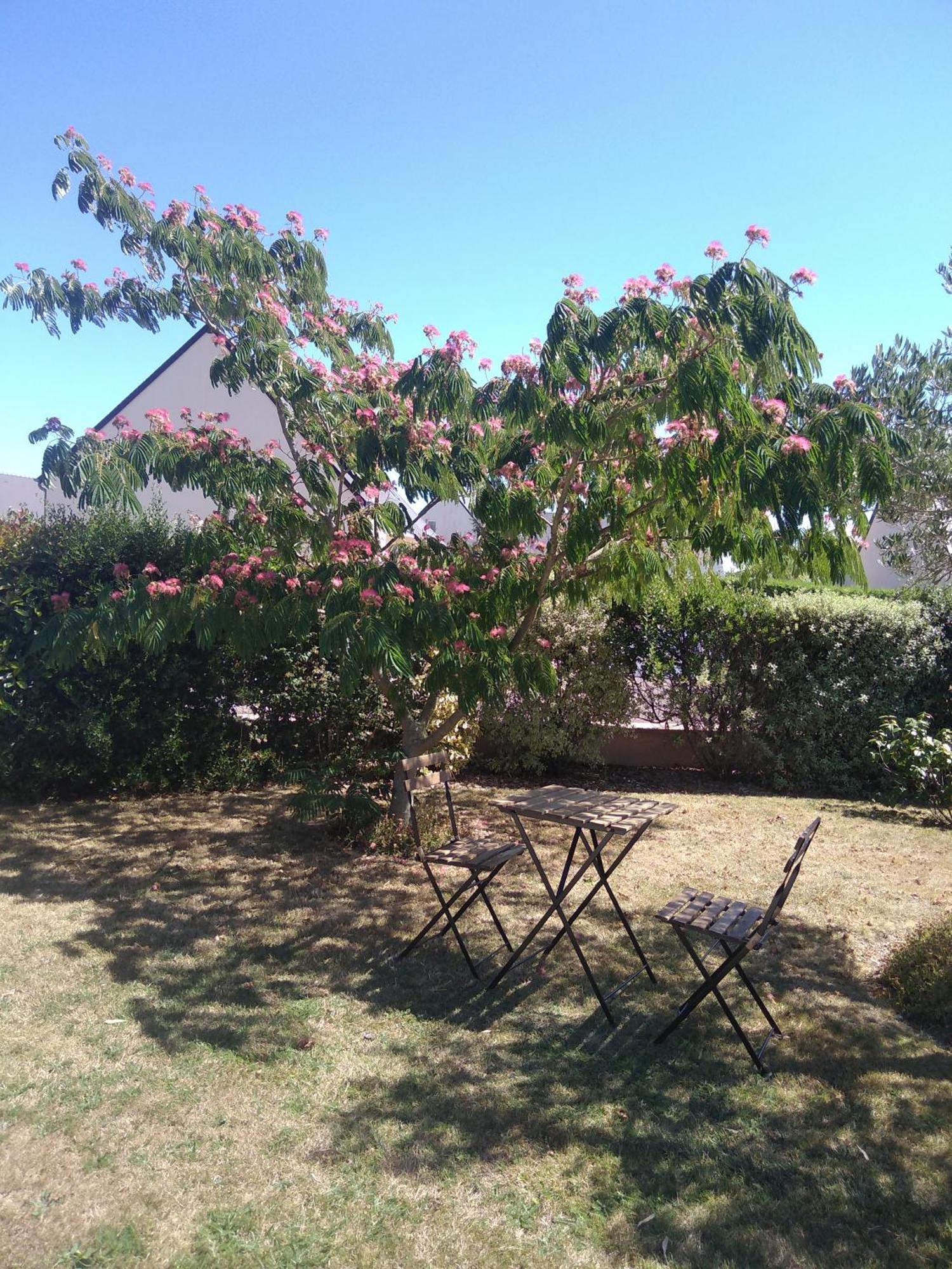 Chambre agréable au calme Saint-Hilaire-Petitville Esterno foto